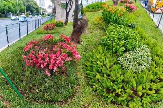 金沙检测线路js69(中国)有限公司